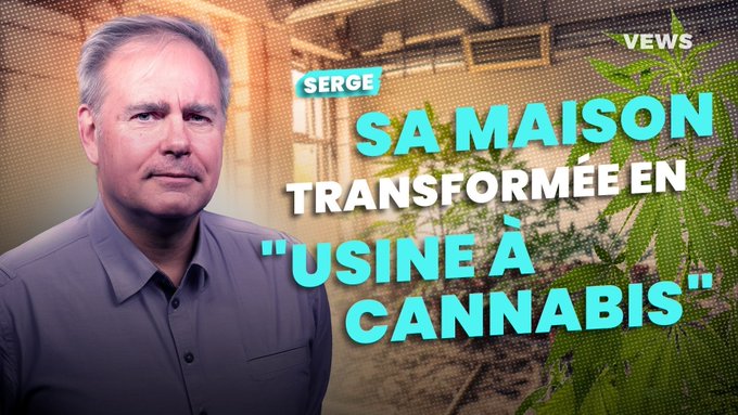 La maison de Serge transformée en usine à cannabis